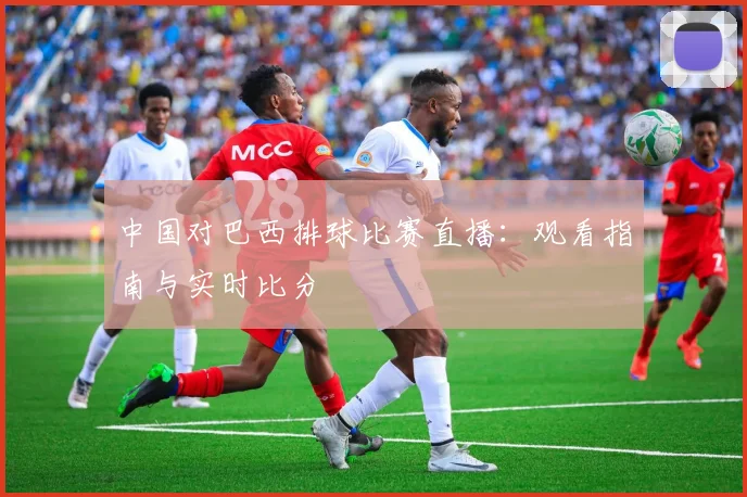 中国对巴西排球比赛直播:观看指南与实时比分