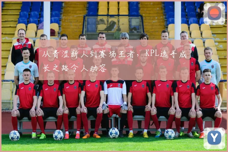 从青涩新人到赛场王者,KPL选手成长之路令人动容
