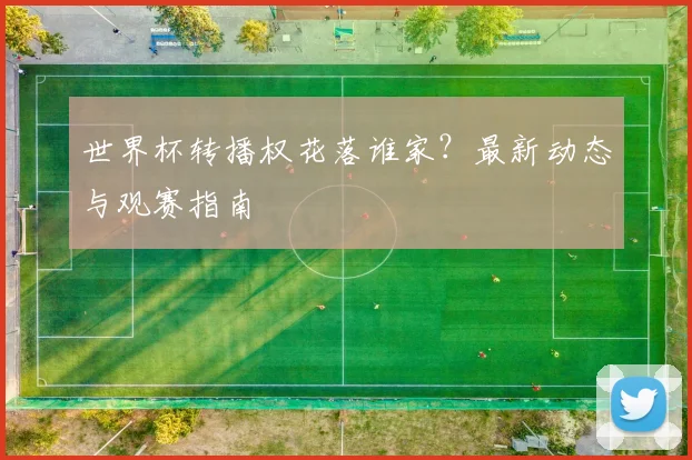 世界杯转播权花落谁家？最新动态与观赛指南